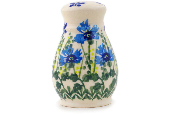 H0917P_2 (2026-01-26 14:23:33)