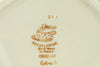 H0527P (2023-11-19 03:41:45)