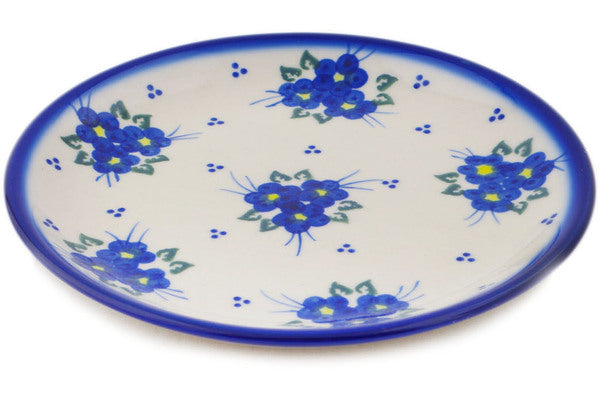 H9555Q (2025-11-08 06:40:28)