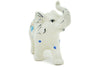 H0490P (2023-08-09 05:48:18)