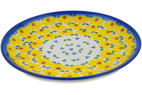 H1007P (2023-12-11 14:48:08)